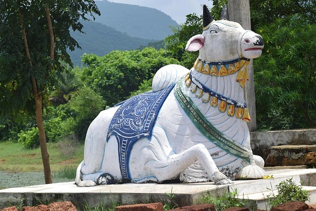 Cow sculpture in a temple in Odisha