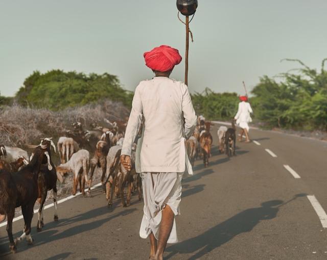 Rajasthan Off The Beaten Track